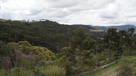Mirante dos Pinheiros